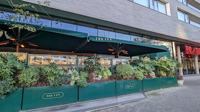 The-Ivy-2-1.jpg